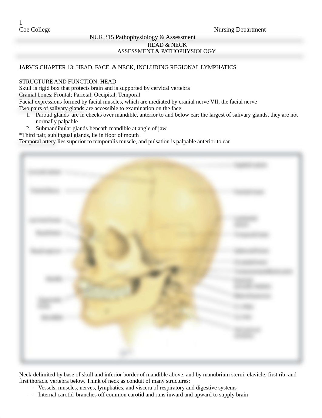 1_Head  Neck_ASSESSMENT  PATHO Outline_2018.docx_dxr4mubo5m0_page1