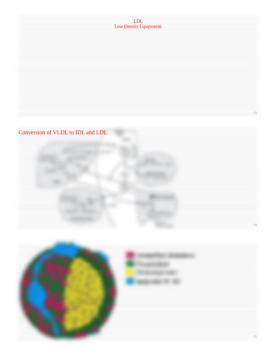 04.10 - Sabban - Lipoproteins and Lipid Transport_dxr4w03them_page5