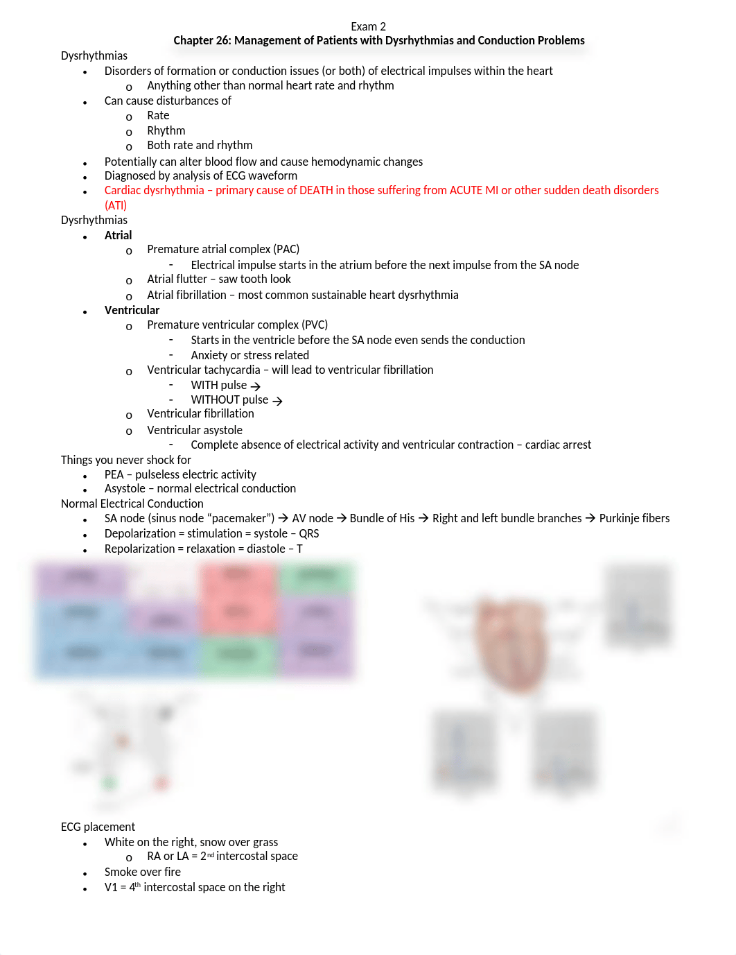 Study Guide Cardiac.docx_dxracbo8z4n_page1