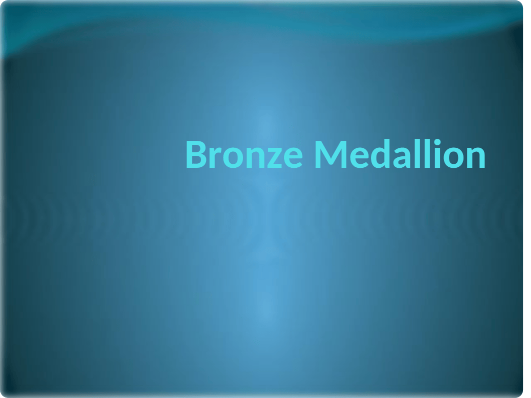 Bronze Medallion.pptx_dxrcv80upk1_page1