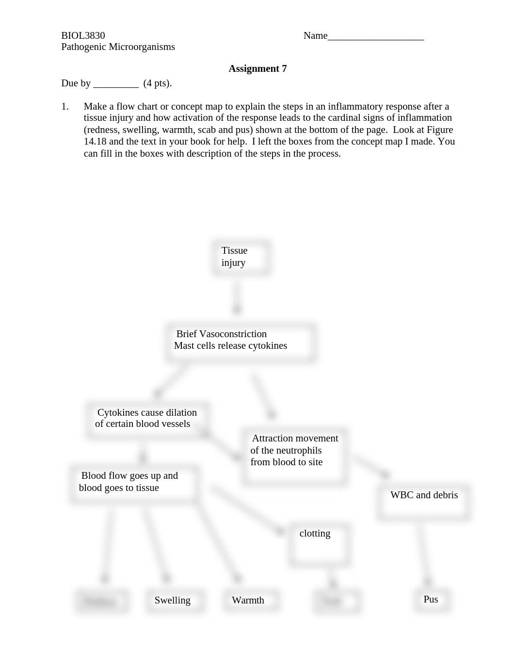 PathoAssignment7.docx_dxrhsynwhsc_page1