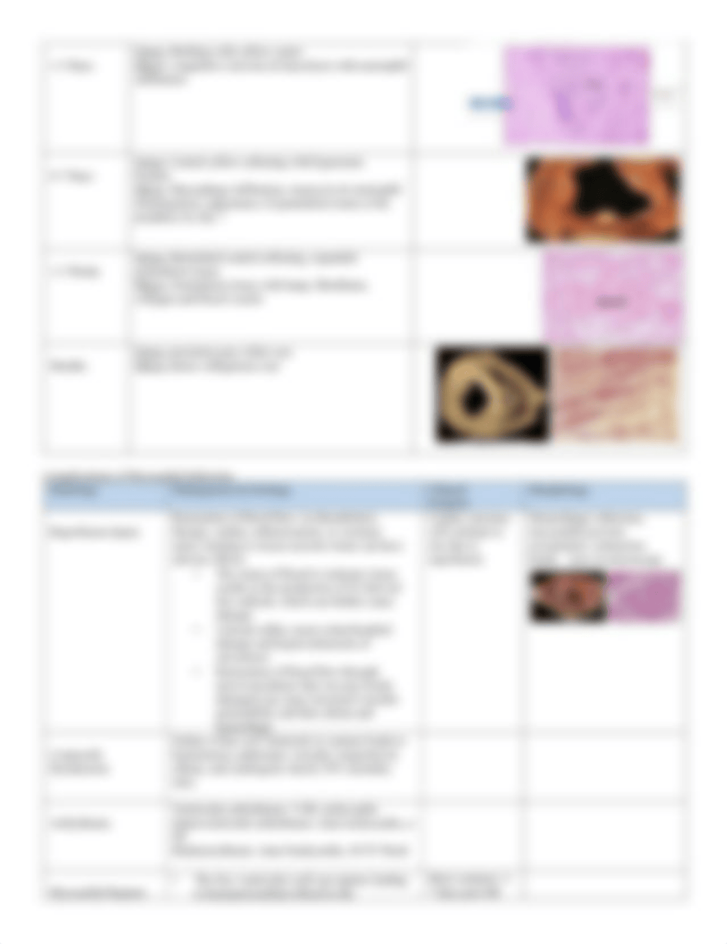 Pathology of Ischemic Heart Disease .pdf_dxrl7cjakml_page2