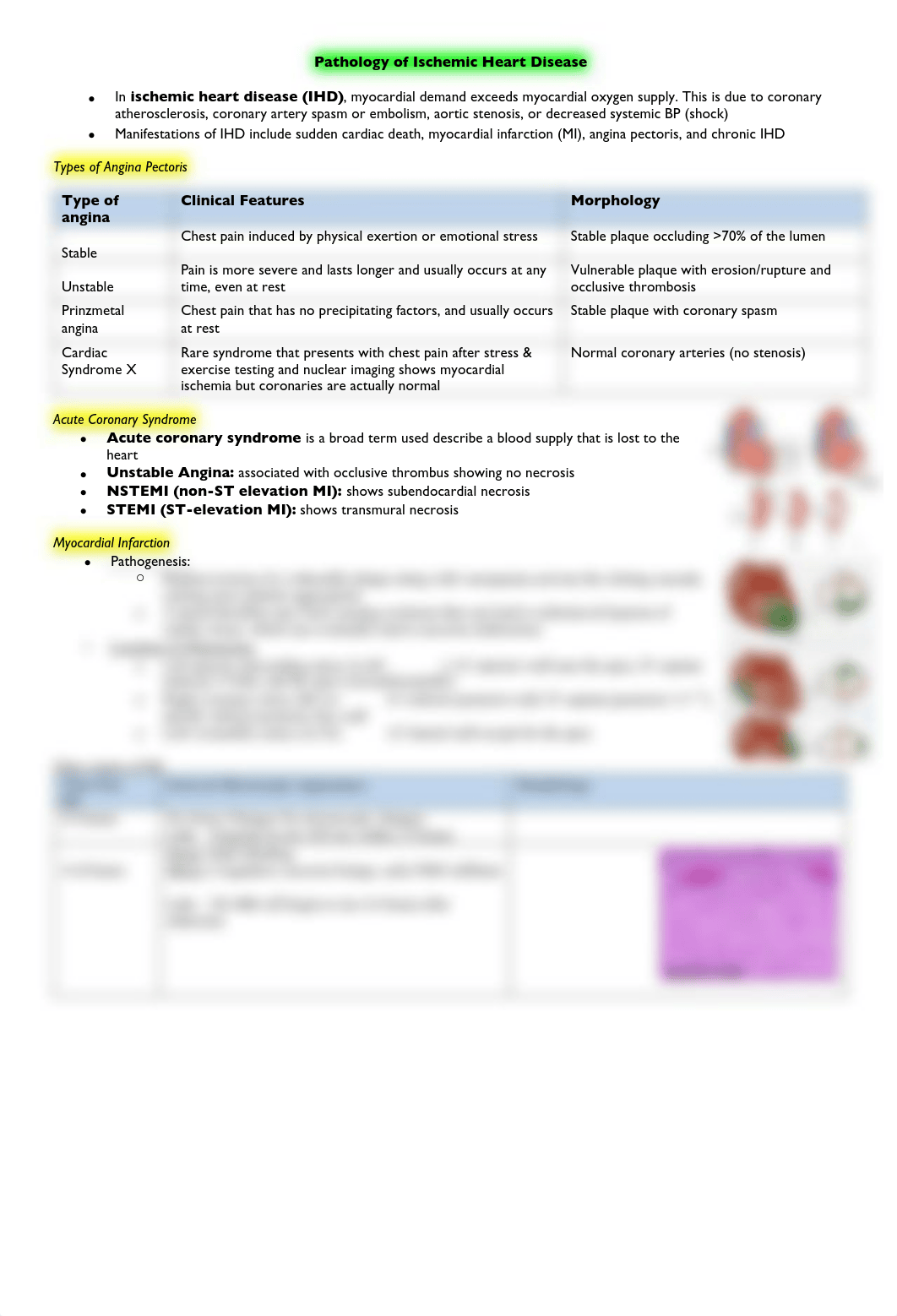 Pathology of Ischemic Heart Disease .pdf_dxrl7cjakml_page1