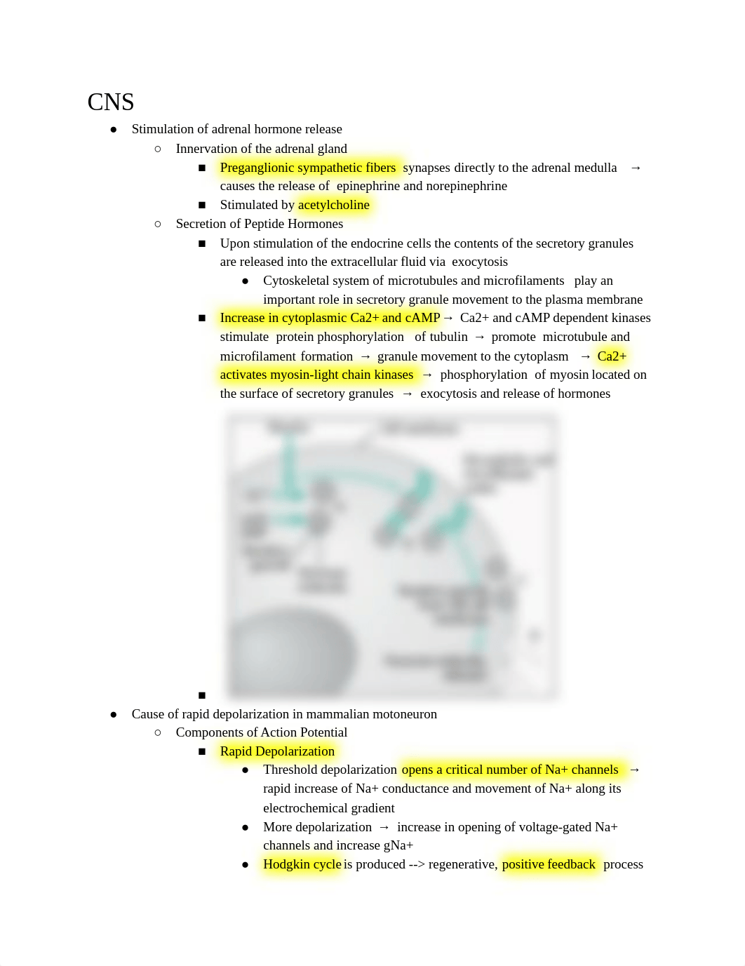 Physio Blueprint.pdf_dxroniqvly4_page1