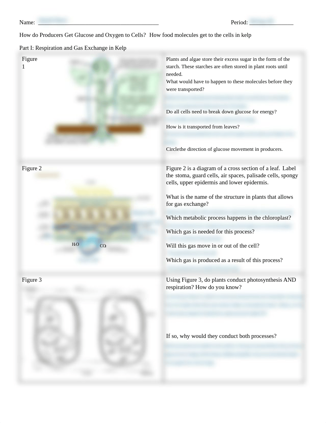 Kami Export - Ketchikans -  D2 Pacific NW-Cell Respiration -Homeostasis.pdf_dxrrju5psng_page1