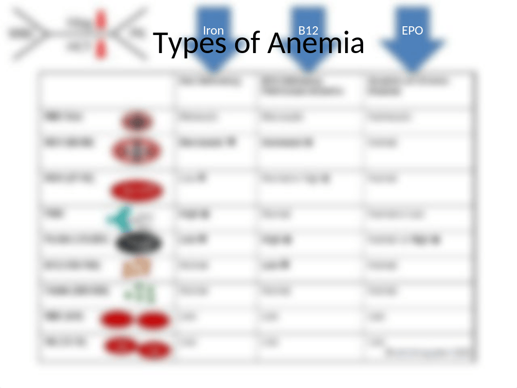 Drugs for Anemia, Leukopenia and Thrombocytopenia.ppt_dxrwyg587iq_page3