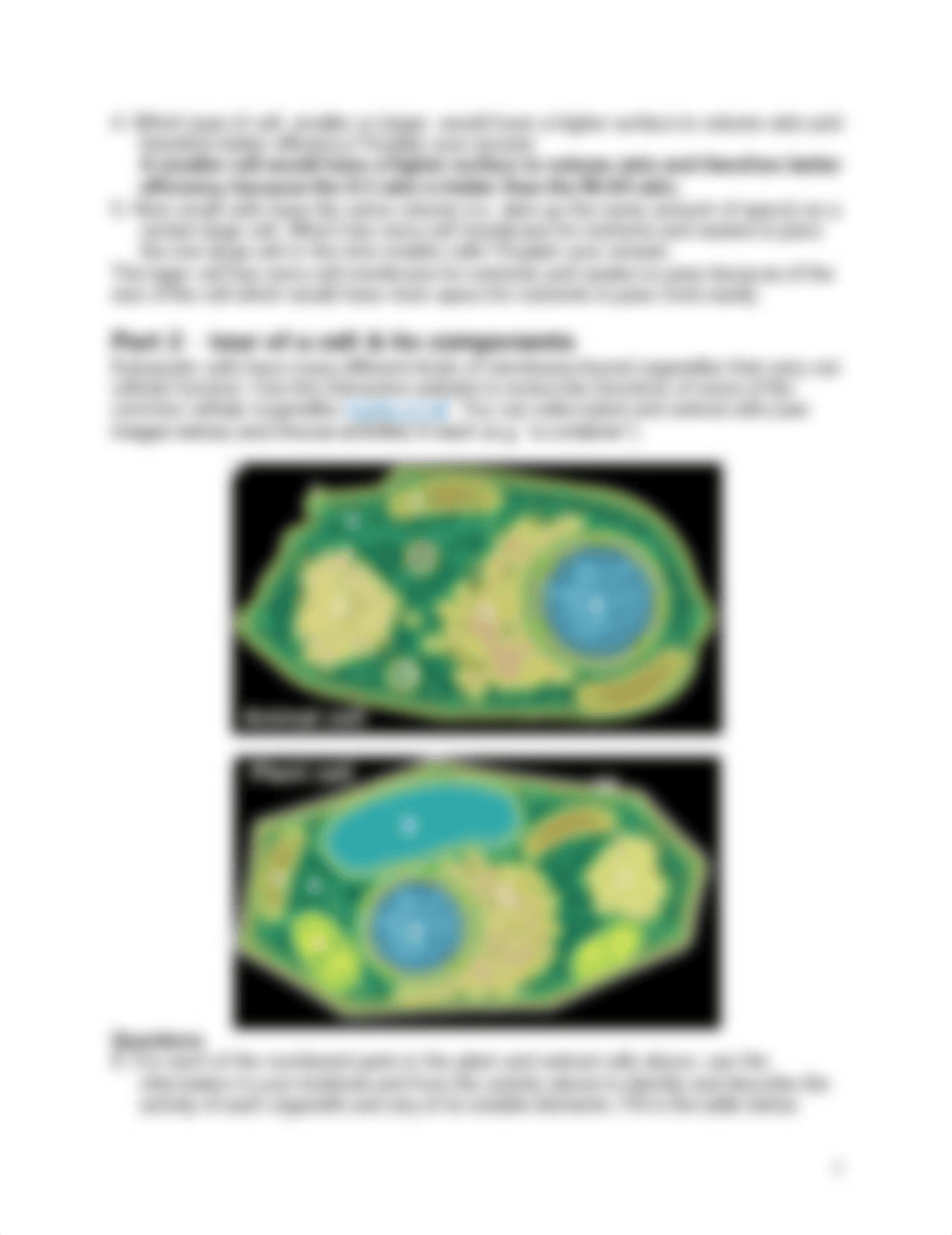 biol1140 lab05 cells.pdf_dxrylnc9p2h_page2