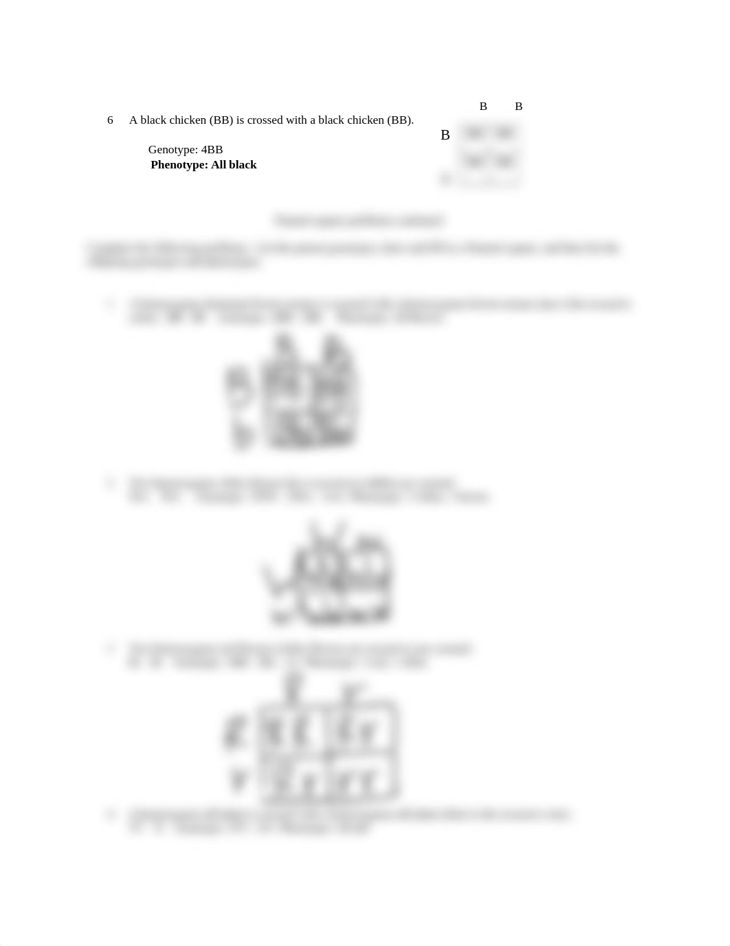 Punnett Square worksheet.docx_dxs1zx0p9ty_page2