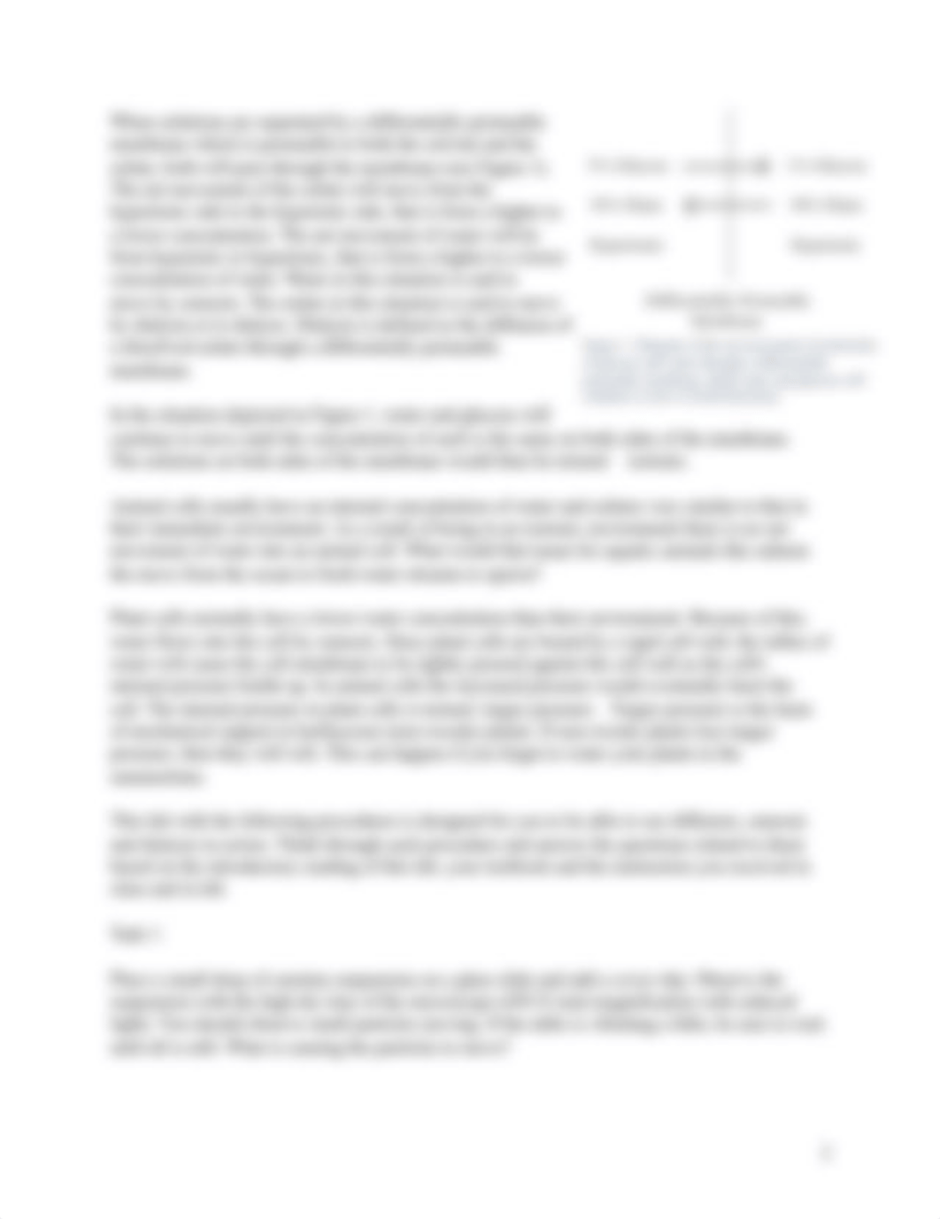 Lab 7 Diffusion Osmosis Dialysis (1)-1.pdf_dxs9kzbif2a_page2