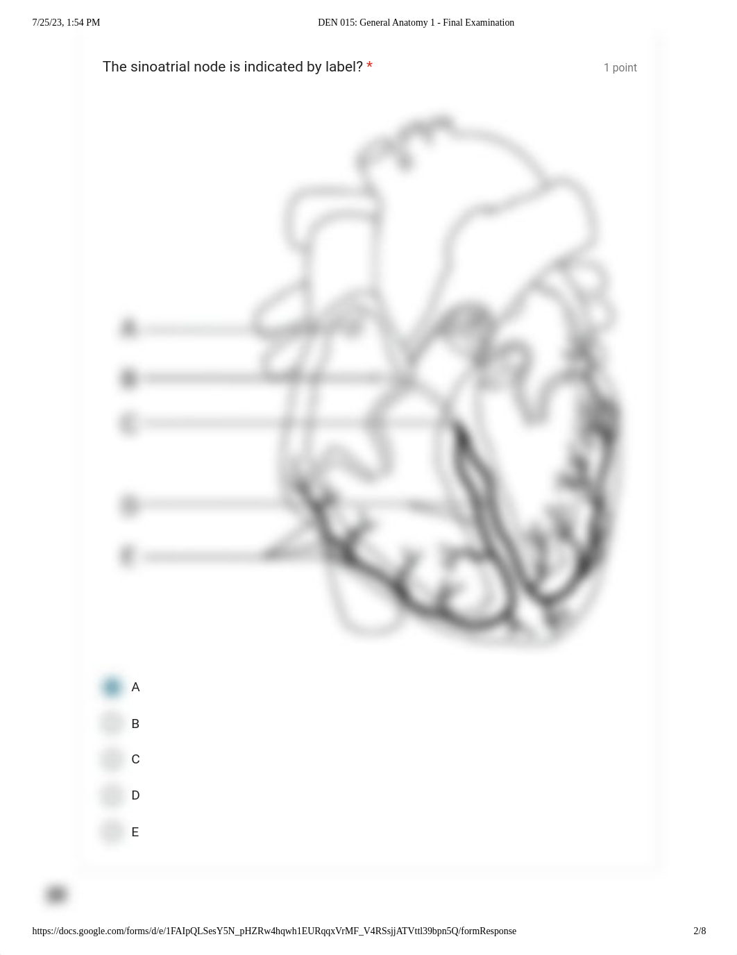 DEN 015_ General Anatomy 1 - Final Examination.pdf_dxsf774bdu6_page2