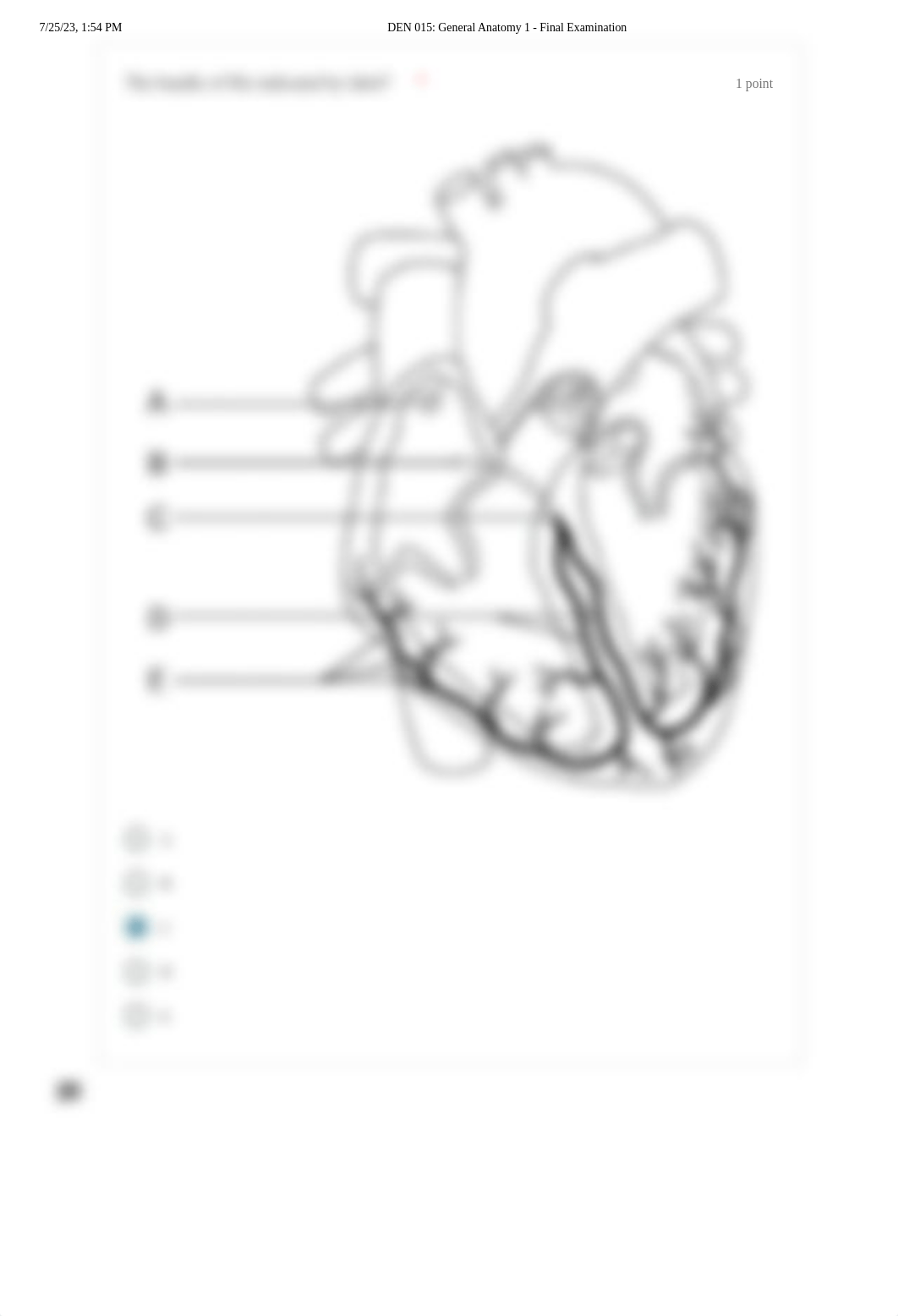 DEN 015_ General Anatomy 1 - Final Examination.pdf_dxsf774bdu6_page3