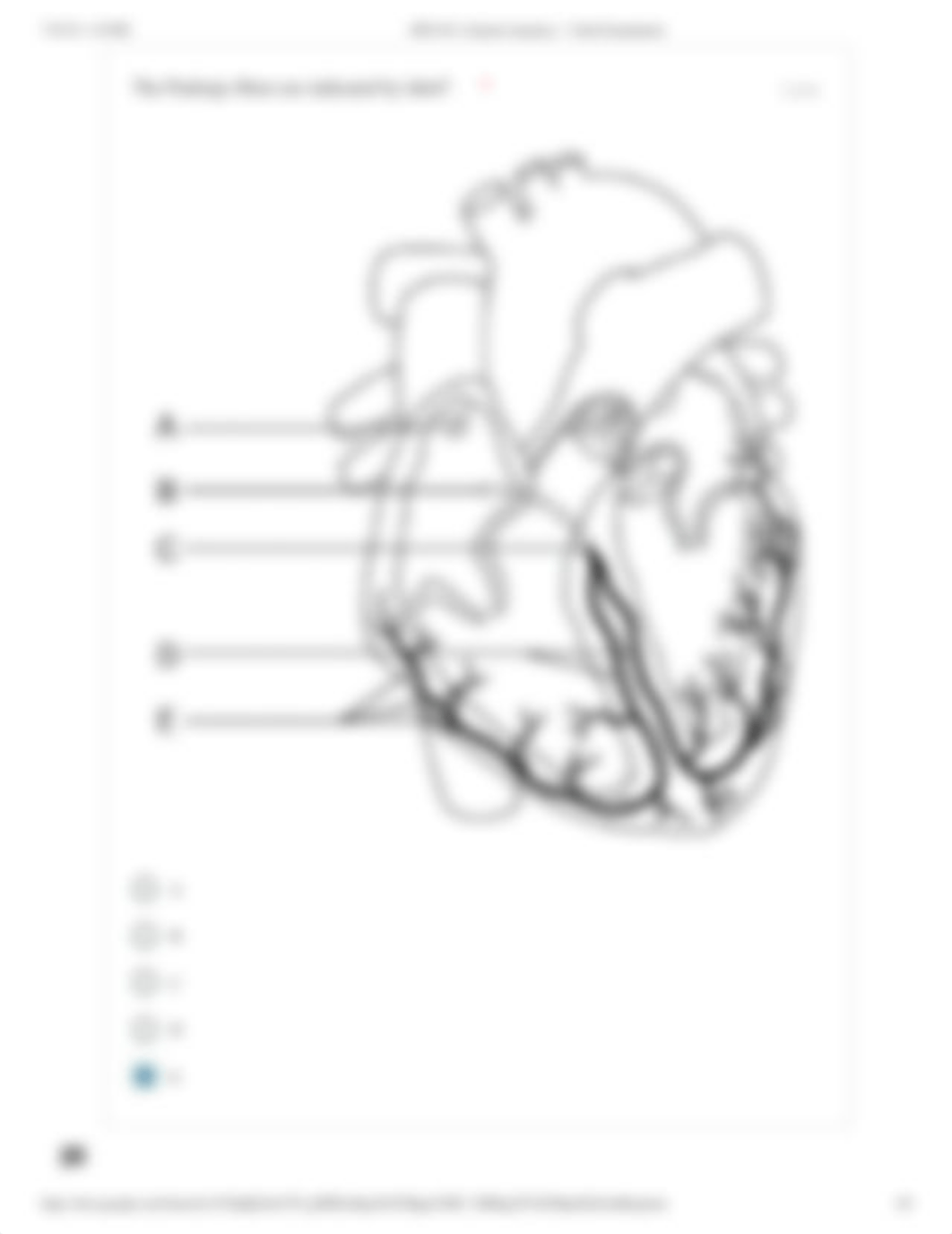 DEN 015_ General Anatomy 1 - Final Examination.pdf_dxsf774bdu6_page4