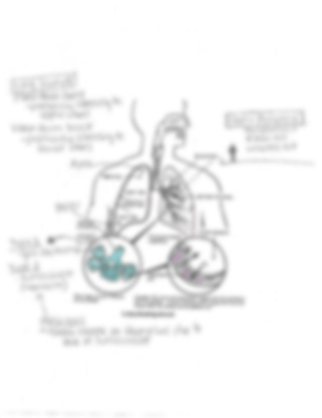 NURS305 Oxygenation2 - 02.27.18.pdf_dxsj7d5qv32_page1