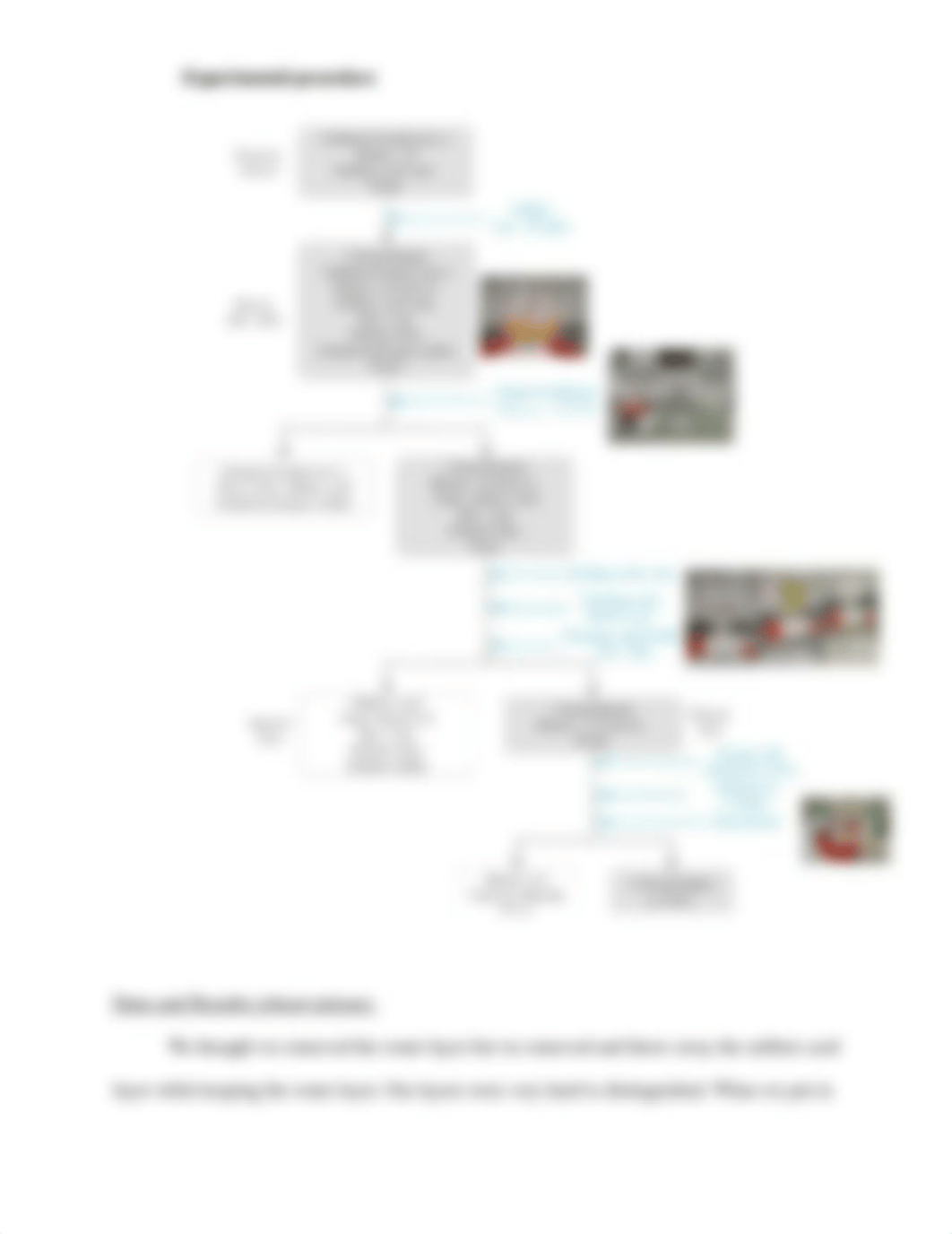 Lab report 1 orgo II.docx_dxsnpsi8bfl_page3