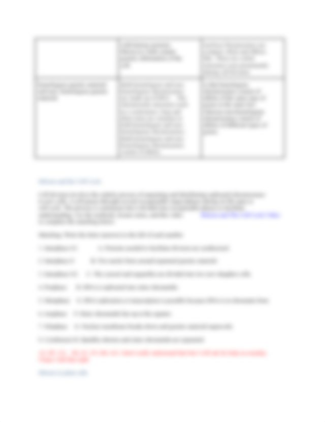 Lab 9. Mitosis and Meiosis.docx_dxso53j2cfq_page2