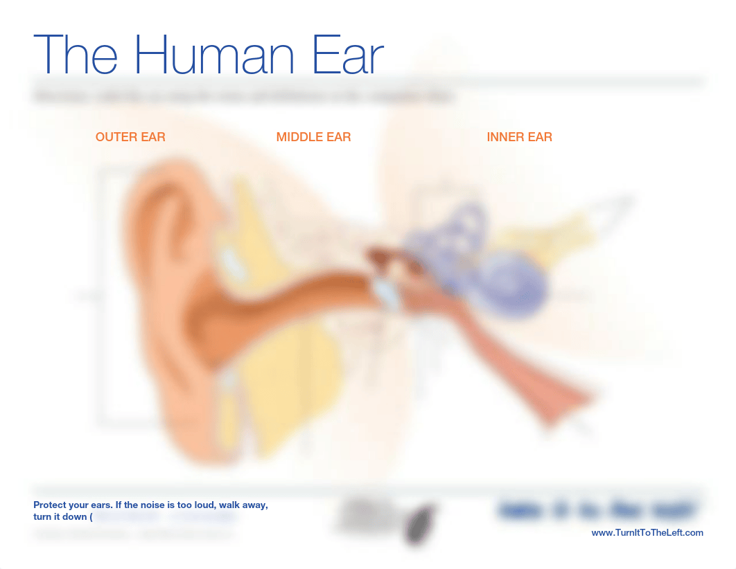 Ear Diagram_dxsu5b8f58v_page1