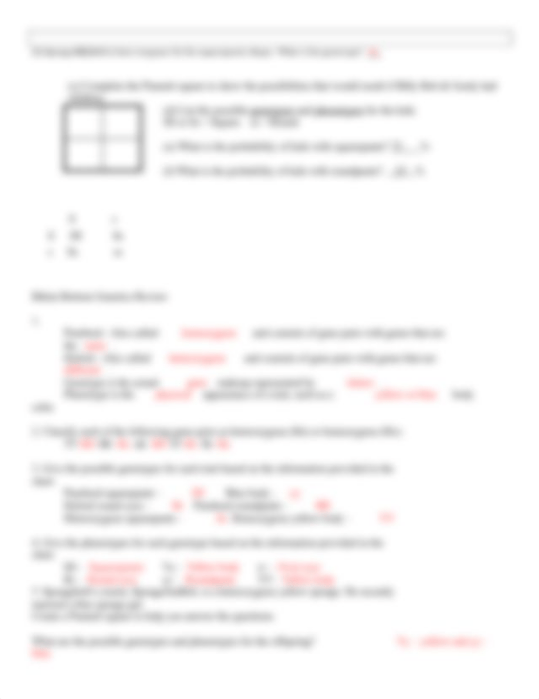 Biology genetics sponge bob WS2.docx_dxsx6e8jdy7_page2