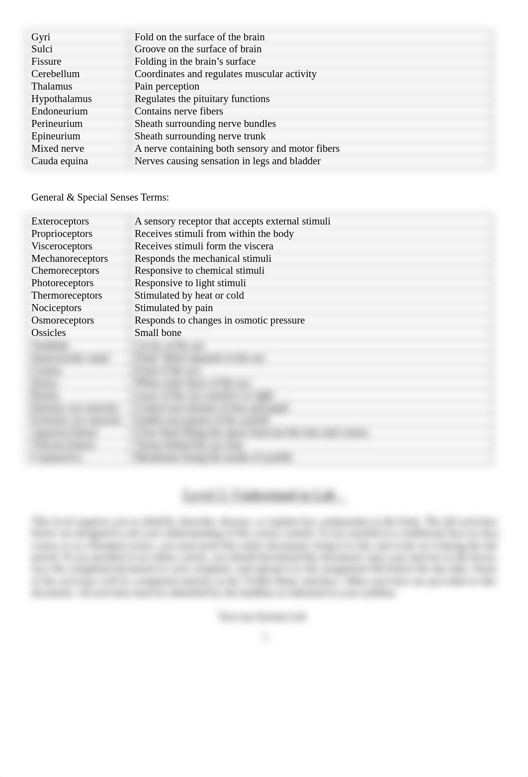 Nervous System Portfolio.docx_dxt0yug9ok4_page2