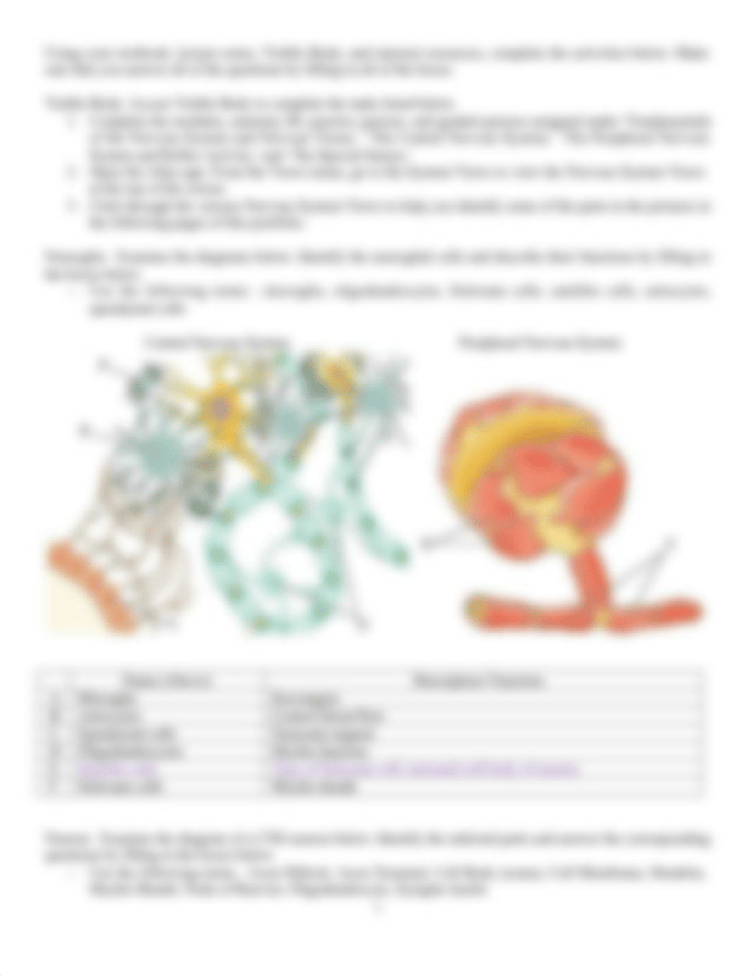 Nervous System Portfolio.docx_dxt0yug9ok4_page3