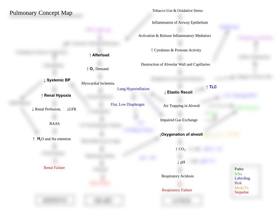 Pathophysiology Pulmonary Concept Map.pdf_dxt3668linw_page1