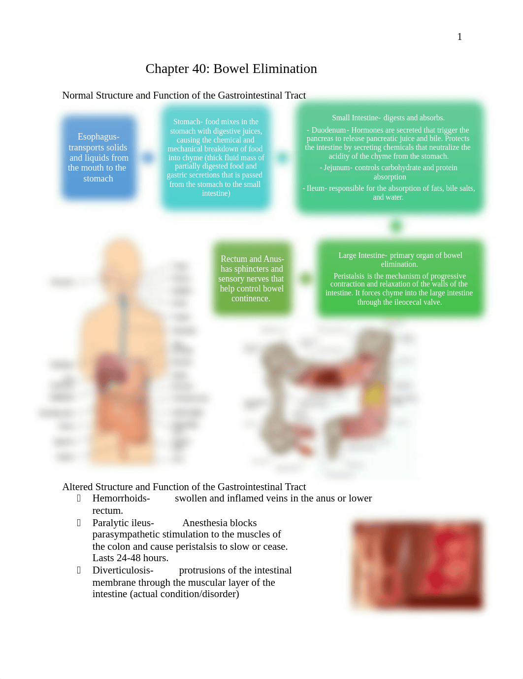 Exam 3 Study Guide 2.docx_dxtda8337an_page1