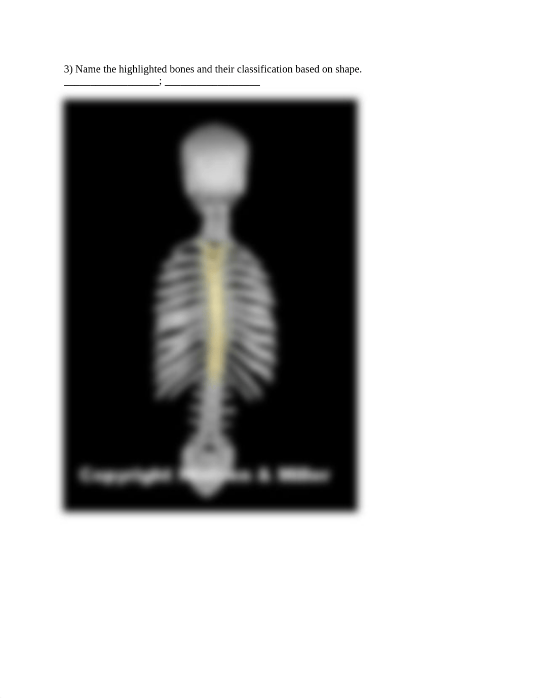 04_skeletal_system_histology_and_physiology_Worksheet_dxthqq4f0nd_page3