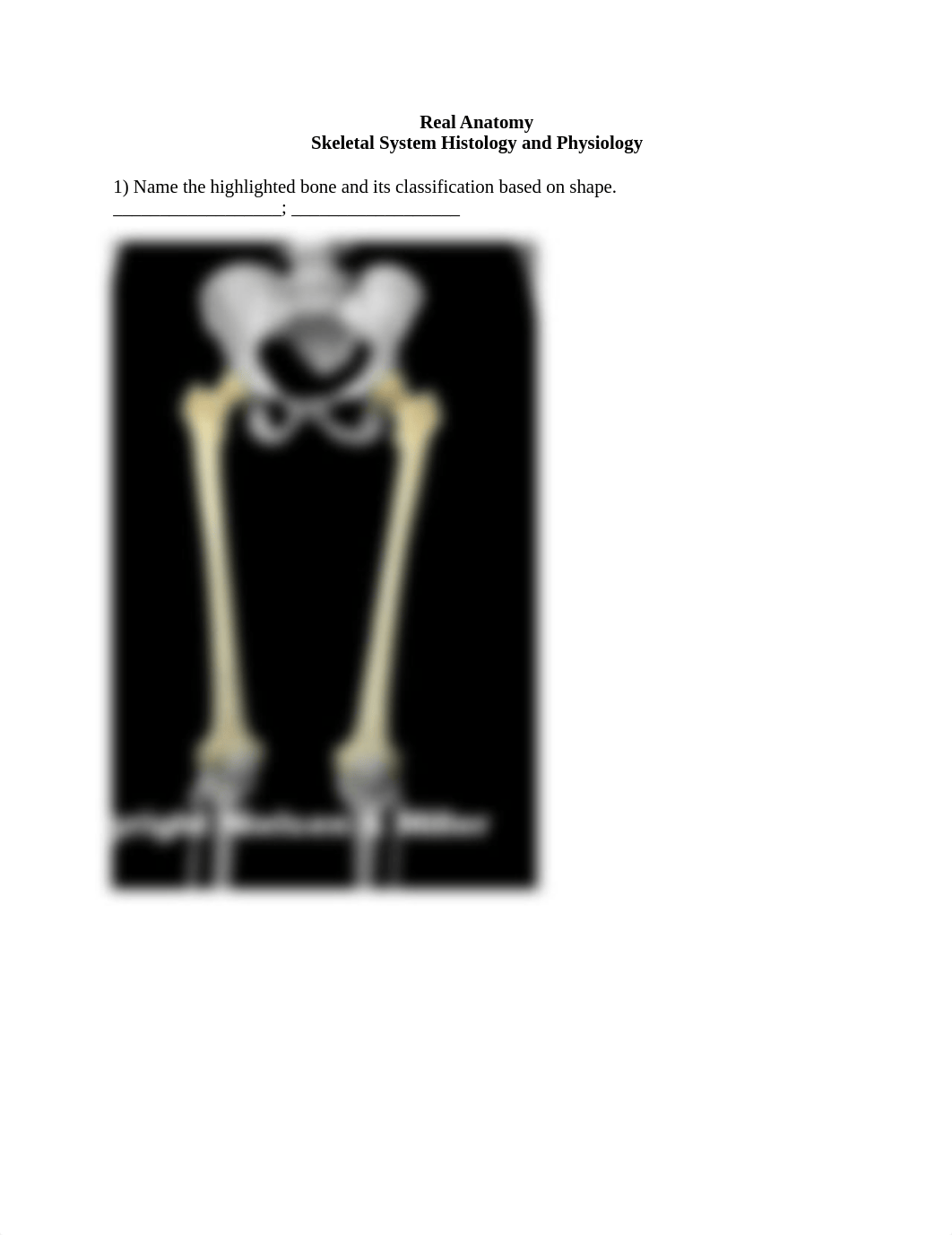 04_skeletal_system_histology_and_physiology_Worksheet_dxthqq4f0nd_page1