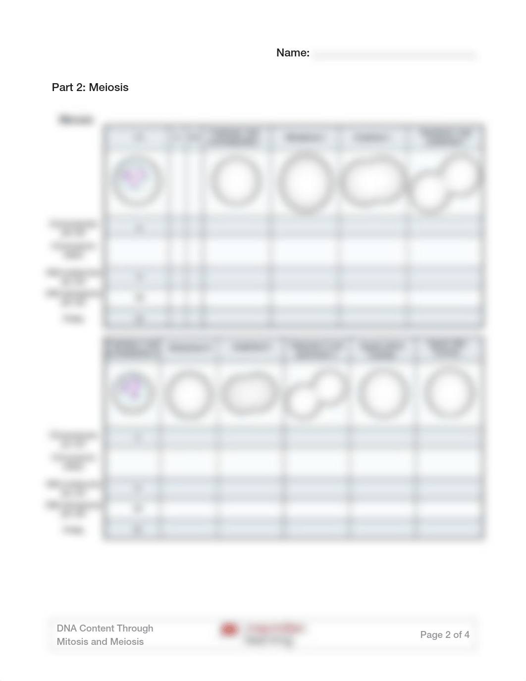 Ch 02 activity.pdf_dxthzq7ucf1_page2