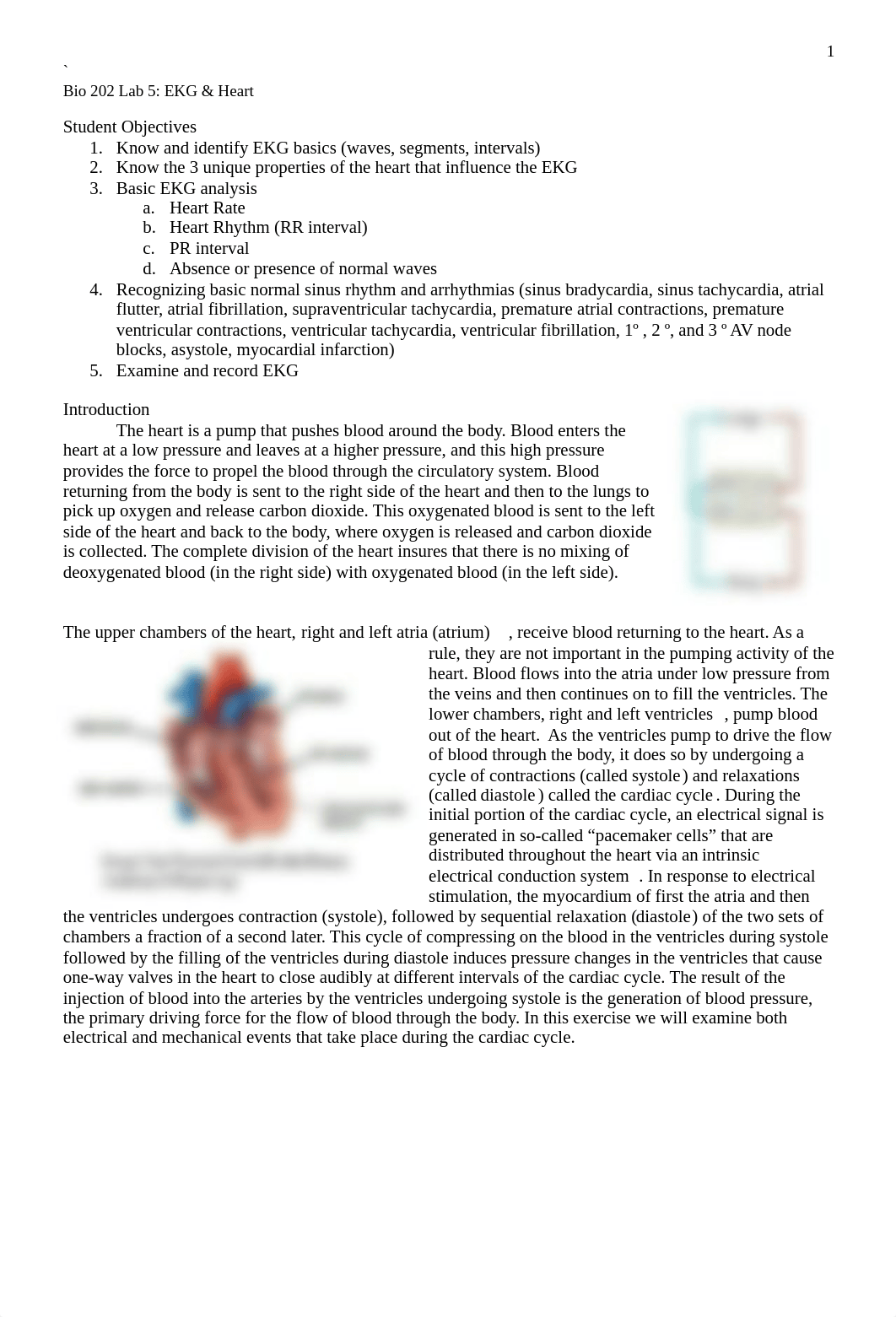 lab 5 EKG.docx_dxtl1b98wua_page1