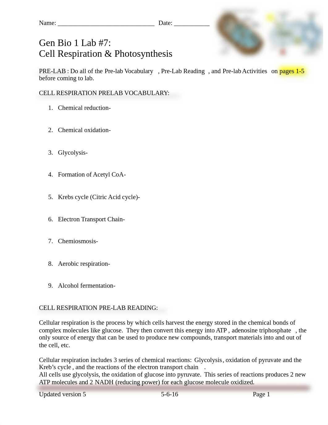 Bio 1 Lab 7_CellRespiration-Photosynthesis.docx_dxtleovqao1_page1