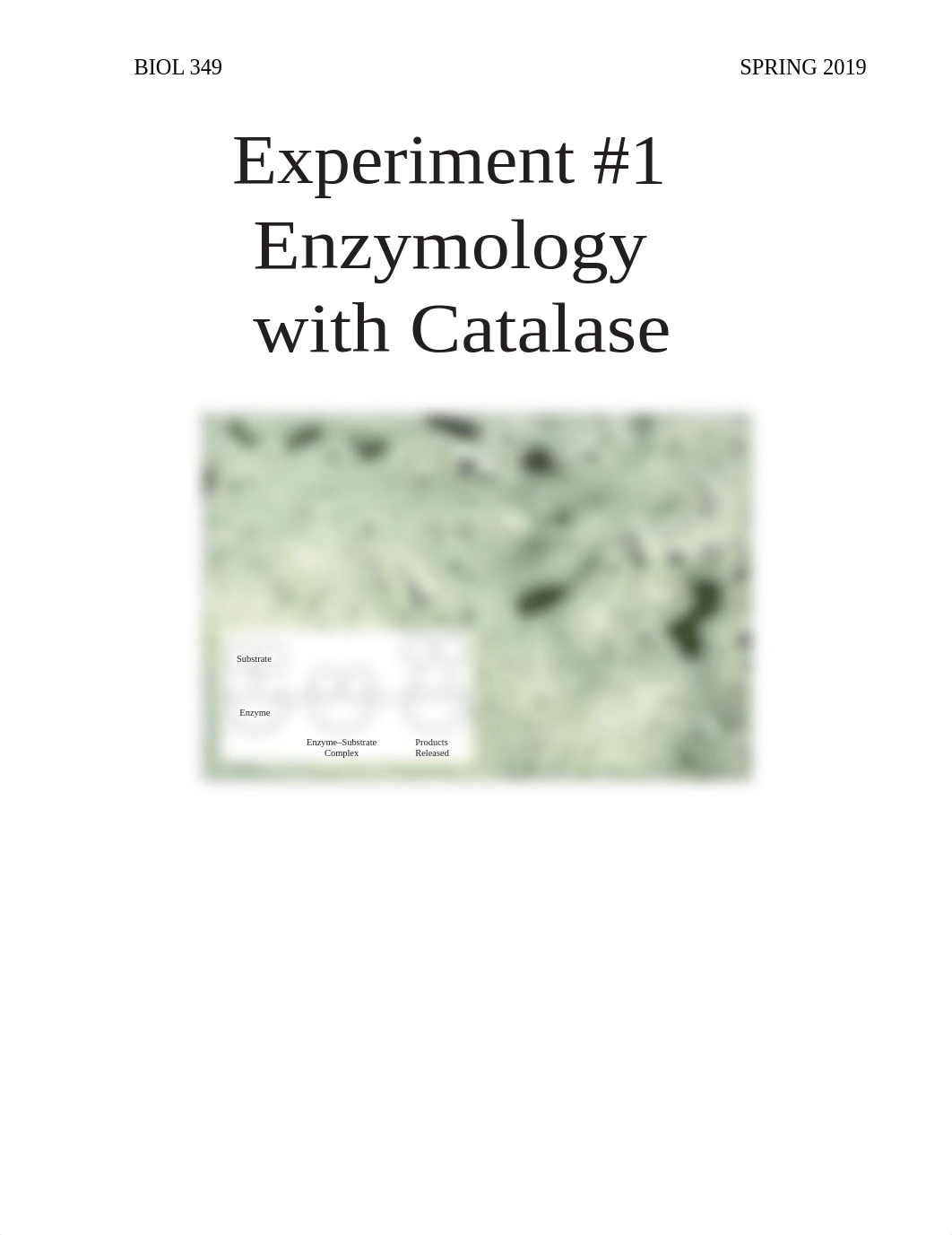 Lab_#1_Enzymology with Catalase_Student Manual_for Spring2019-2.docx_dxtnyu2kp3d_page1