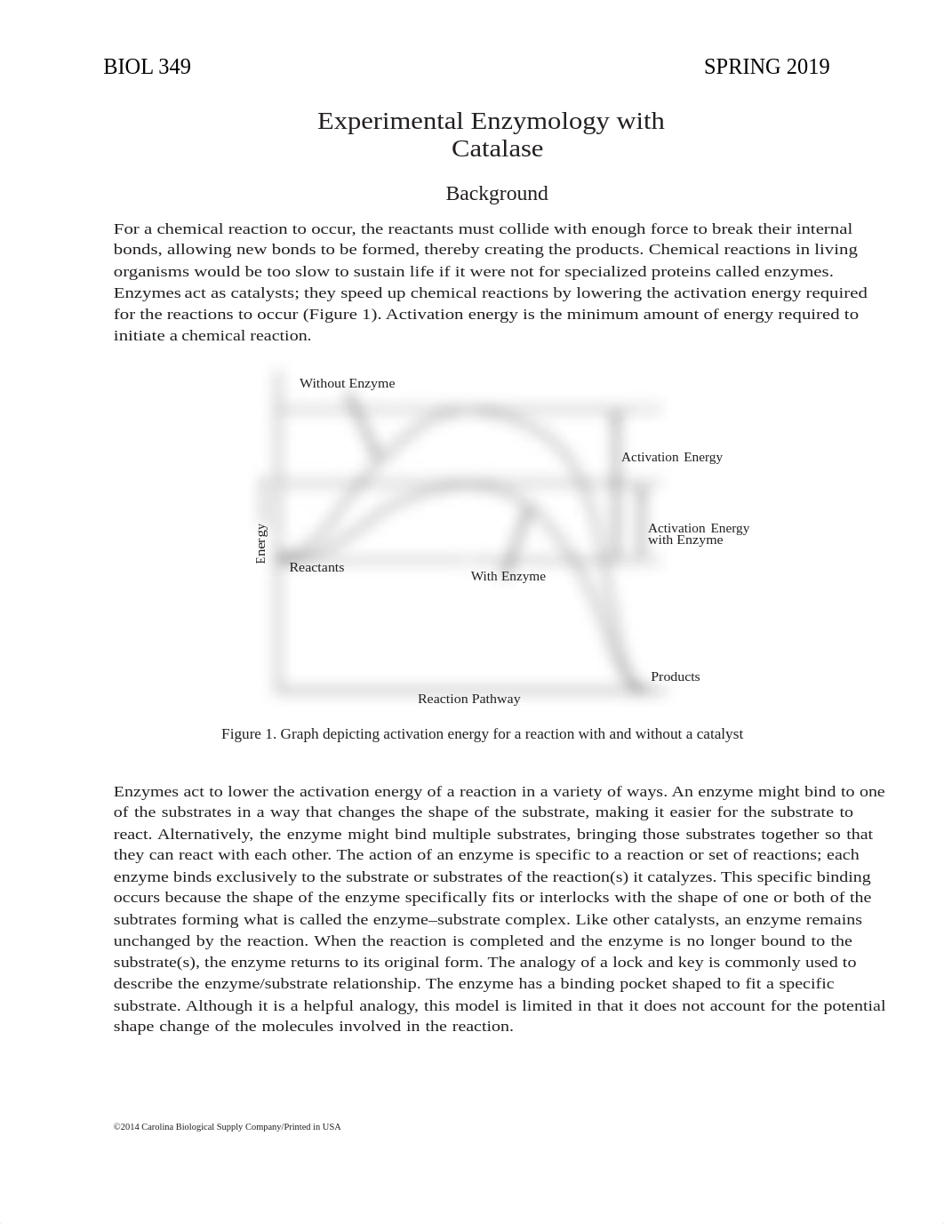 Lab_#1_Enzymology with Catalase_Student Manual_for Spring2019-2.docx_dxtnyu2kp3d_page3