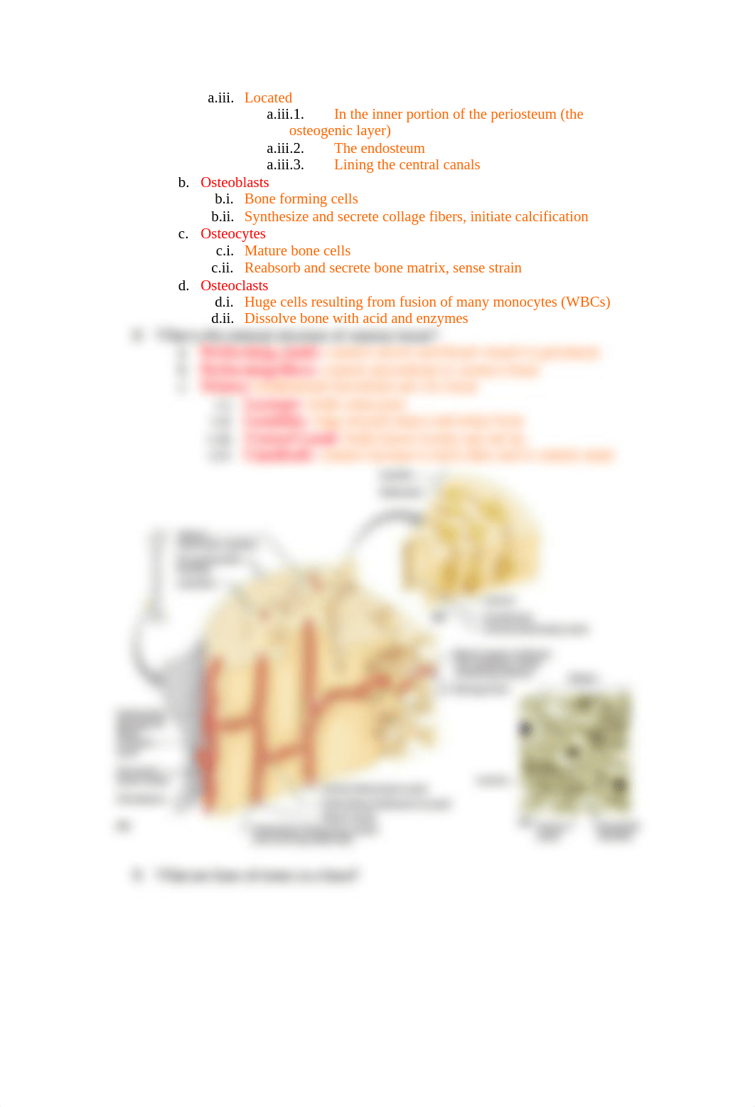 Chapter 7 - Skeletal System, Bones_dxtt2xh85c4_page3