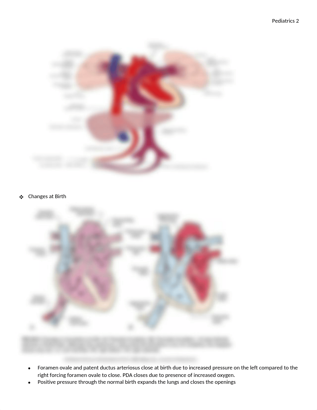 Pediatrics Exam 2 Study Guide.docx_dxtxak3bv37_page2