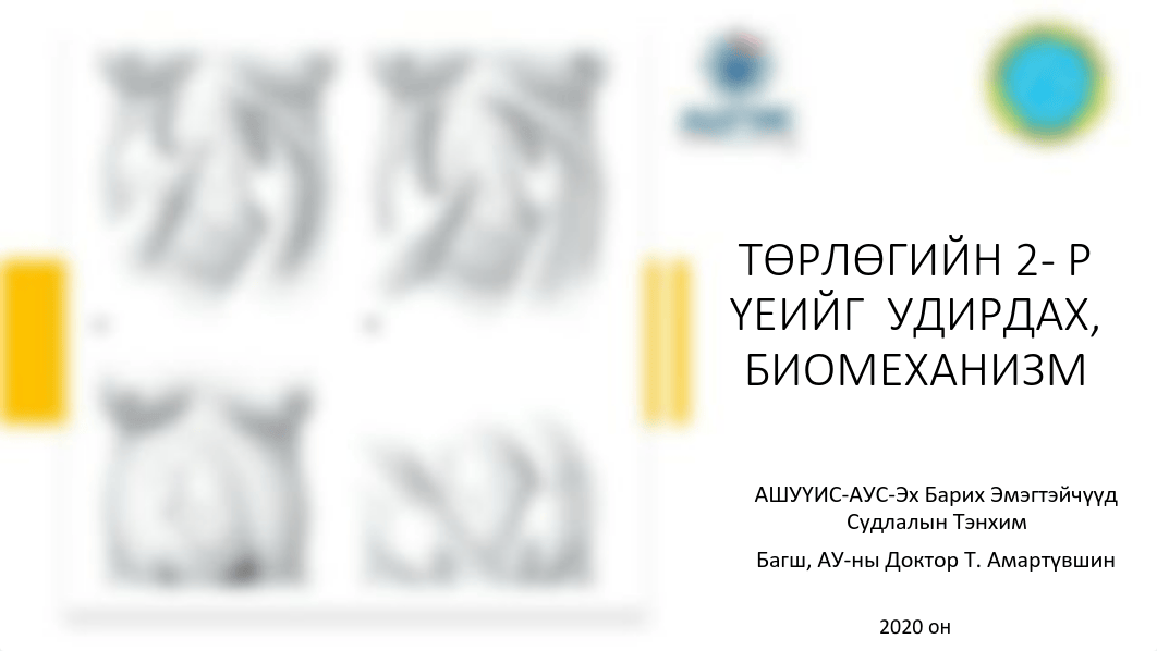 Төрөлтийн 2-р үеийн биомеханизм.pdf_dxtxo9ukypt_page1