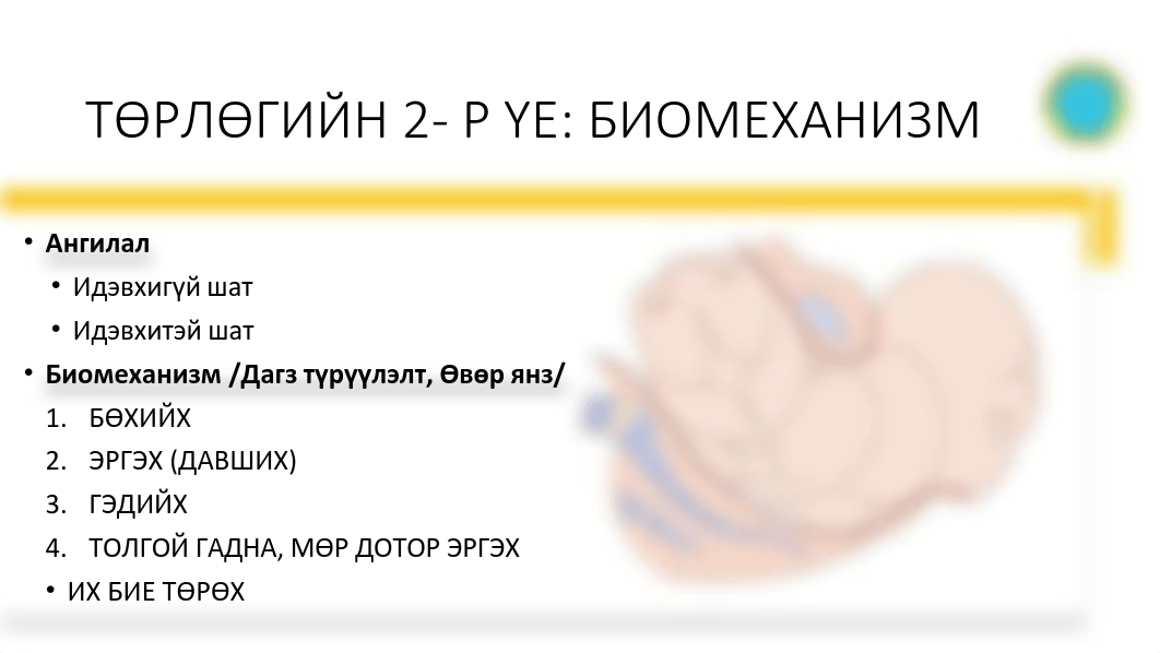 Төрөлтийн 2-р үеийн биомеханизм.pdf_dxtxo9ukypt_page4