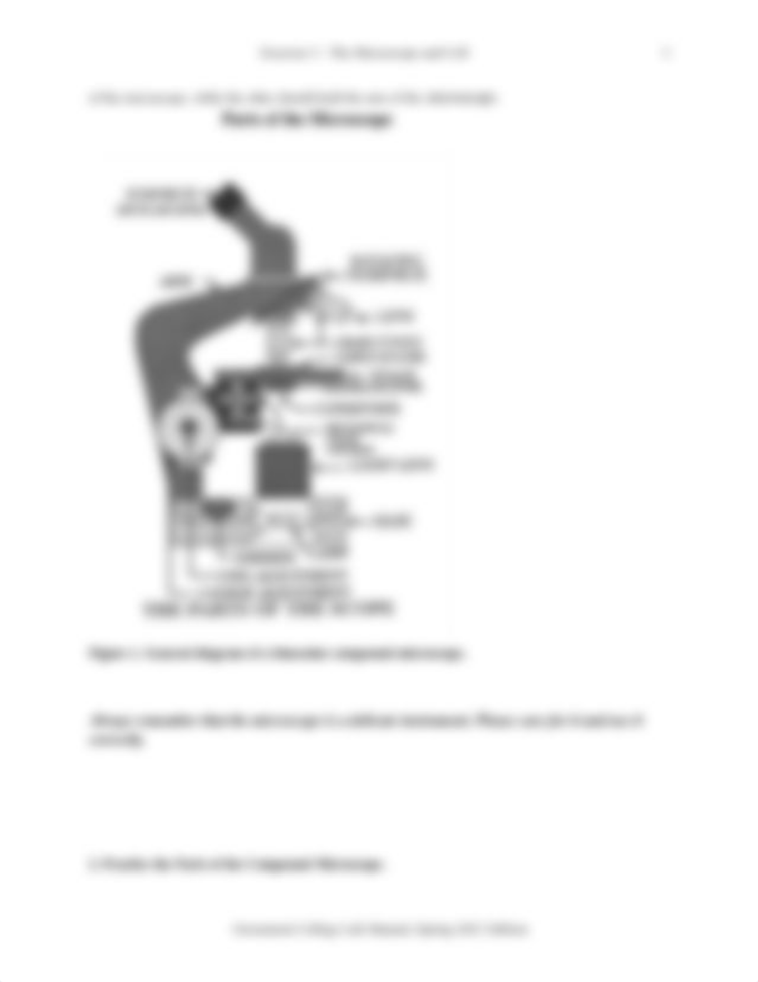 BIO120_LabEx05 The Microscope and Cell.pdf_dxu0gkvwx06_page3