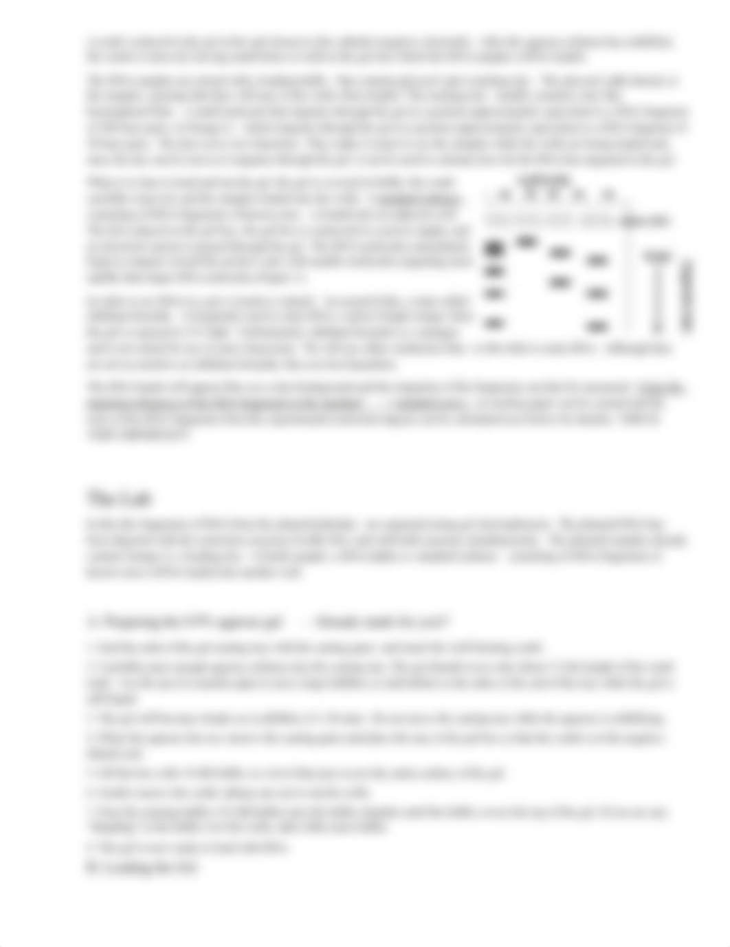 AP Biology Lab Electrophoresis_dxucg47lgmu_page2