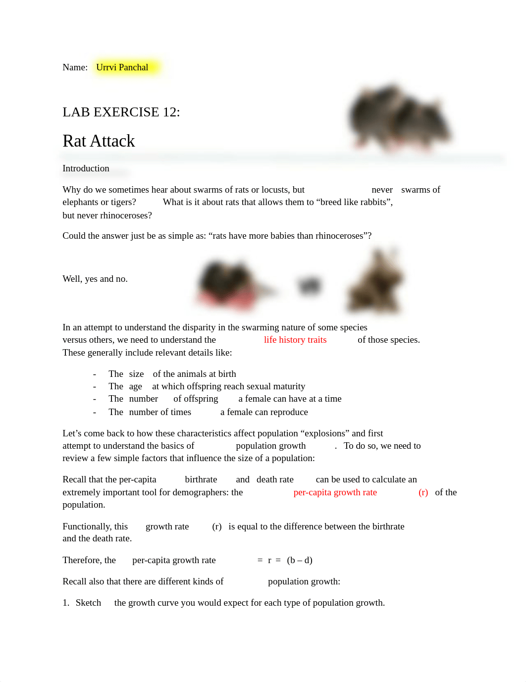 Lab 12 - Rat Attack Case Study Urrvi Panchal.docx_dxudjqy5vpk_page1