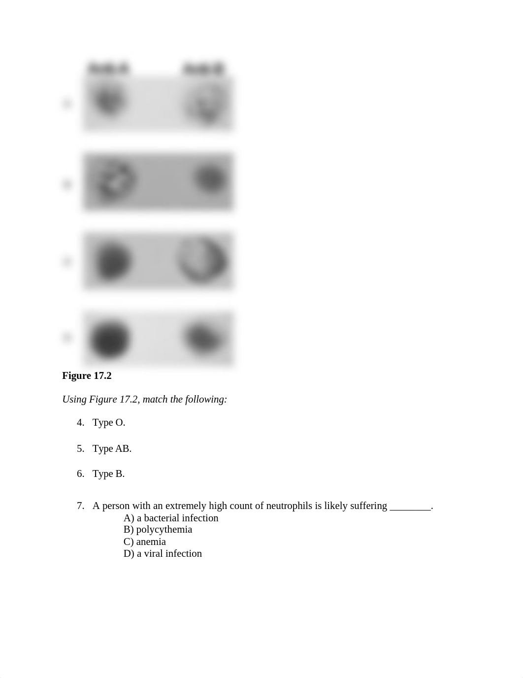 Chapter 17 Quiz.docx_dxudtkx80vz_page2