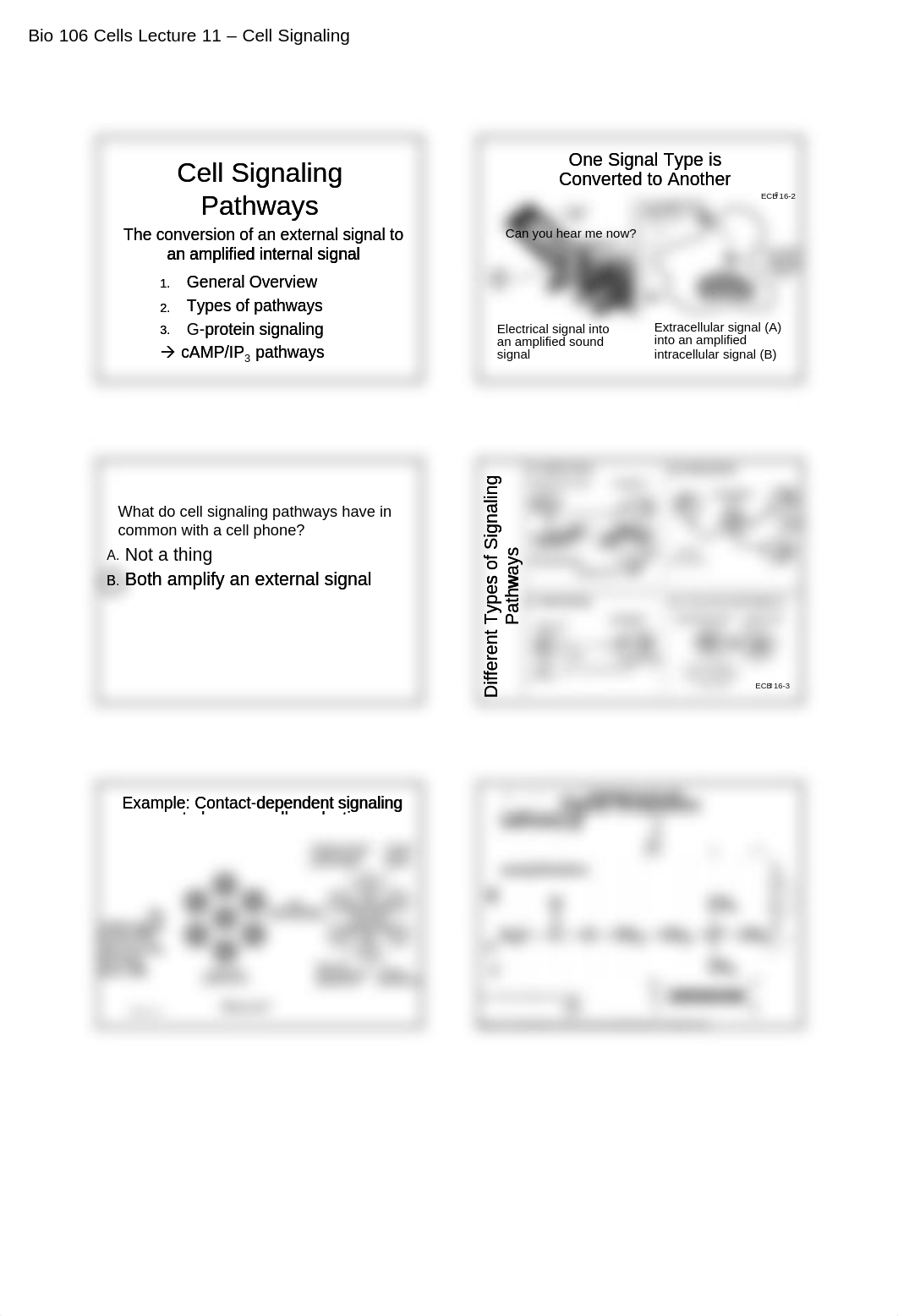 cells11-Signaling1-2009_dxuebl3hilj_page1