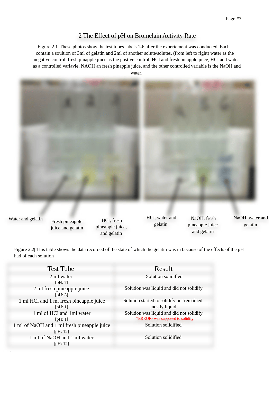 Enzyme Lab Report 9.1.docx_dxuewy86491_page3