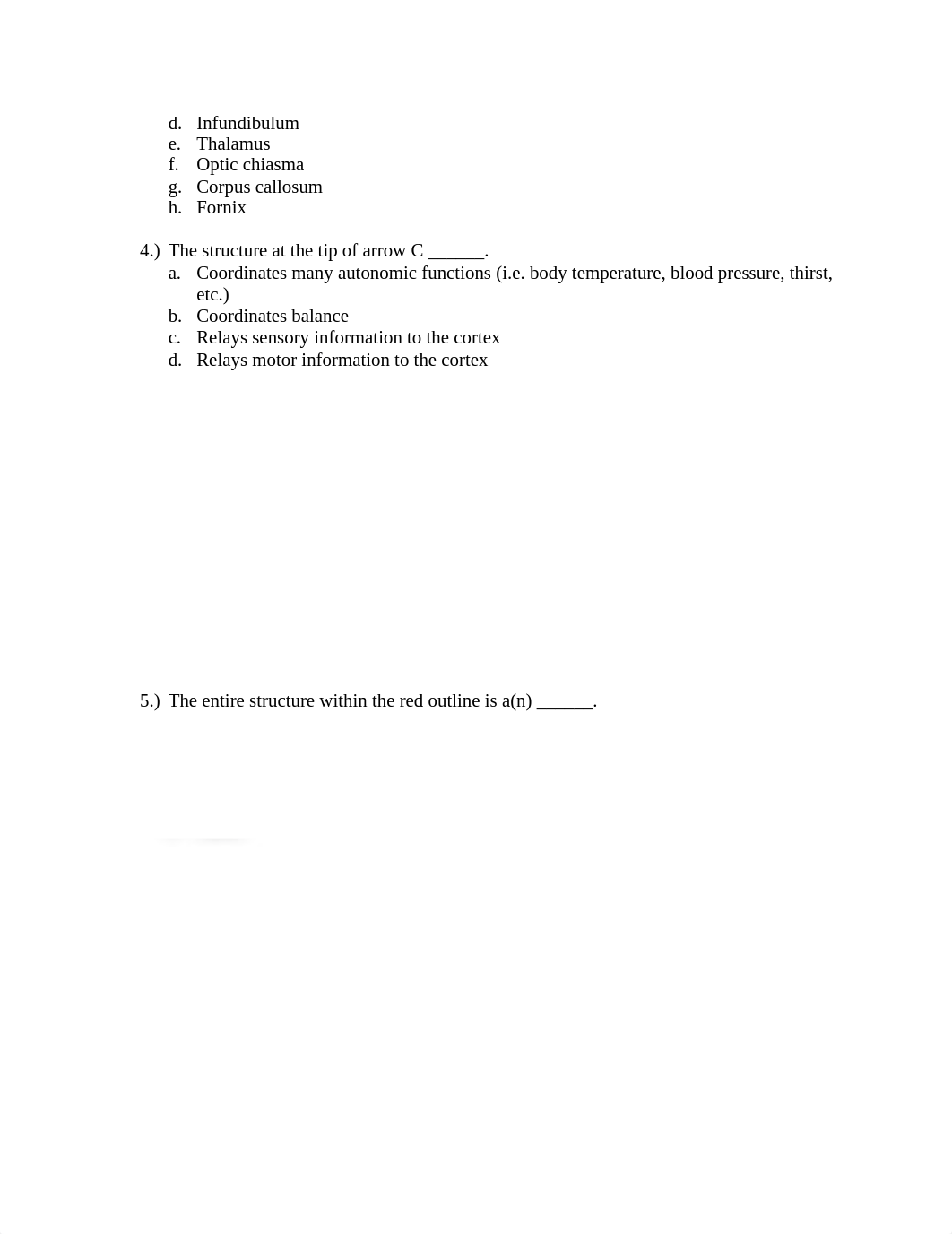 Lab Exam 3 AB.docx_dxuhca0ue6g_page2