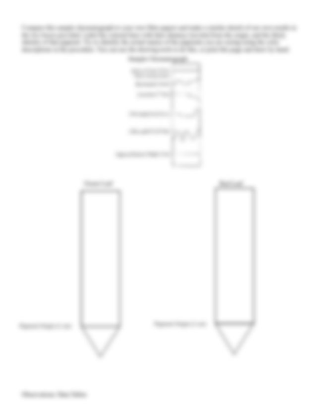 Lab 4 - Photosynthesis (1).docx_dxulqy6n4sh_page3