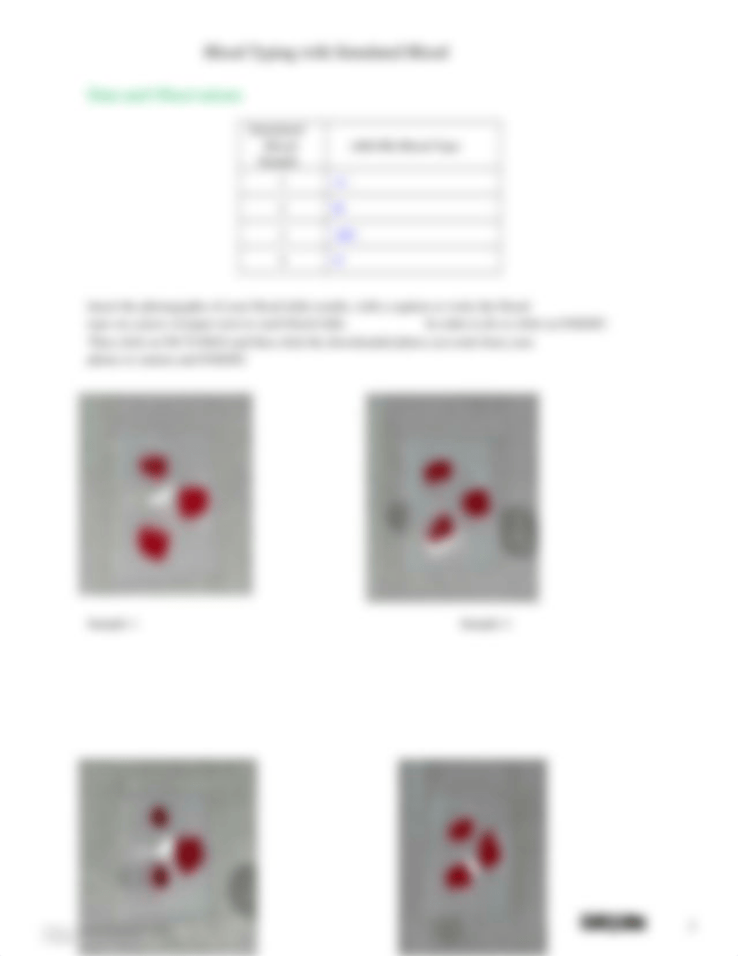 Blood Typing with Simulated Blood Data and Questions (4).docx_dxut59yrmj5_page2