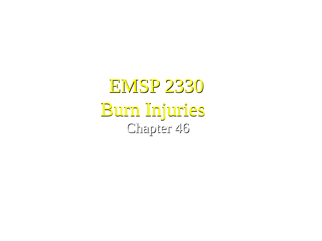 EMSP 2330 Burns.ppt_dxv6k3760bv_page1