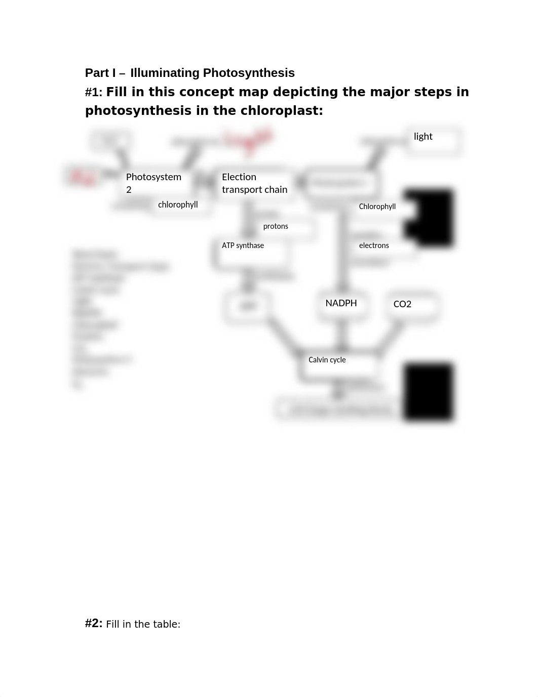 Photosynthesis pre class work.docx_dxvc1me0vq4_page1