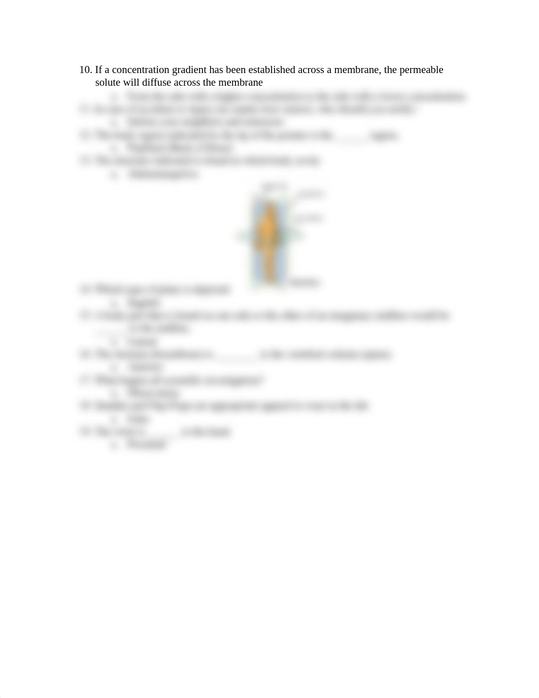 BIOL 227 Lab Quiz 1_dxvujspmtae_page2