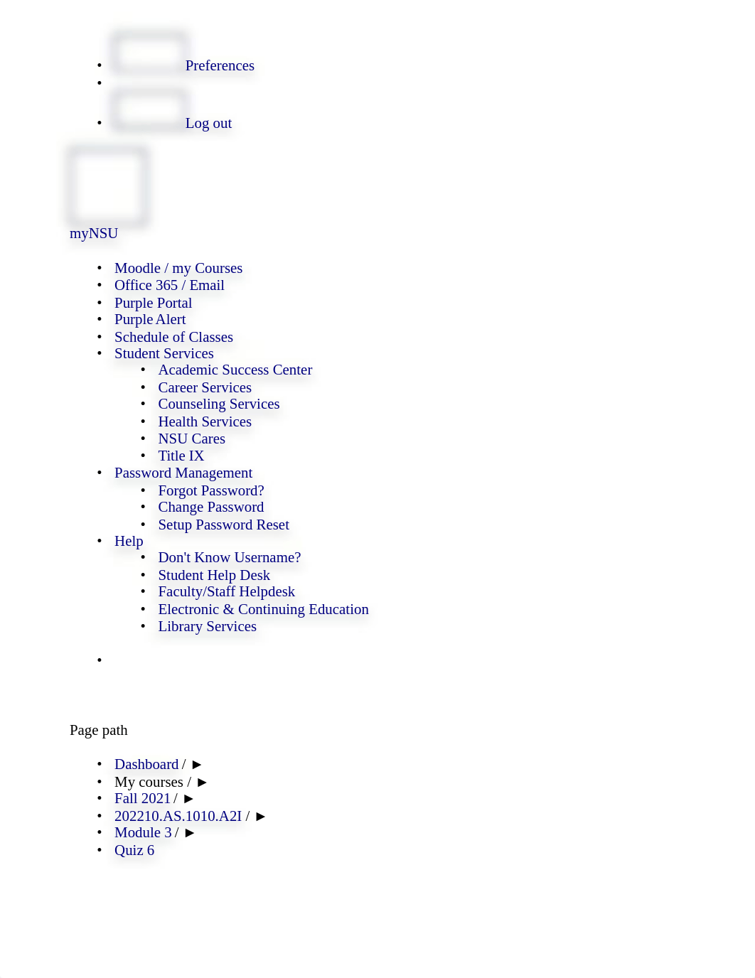 AS1010 Quiz 6.html_dxvwuftyvtb_page2