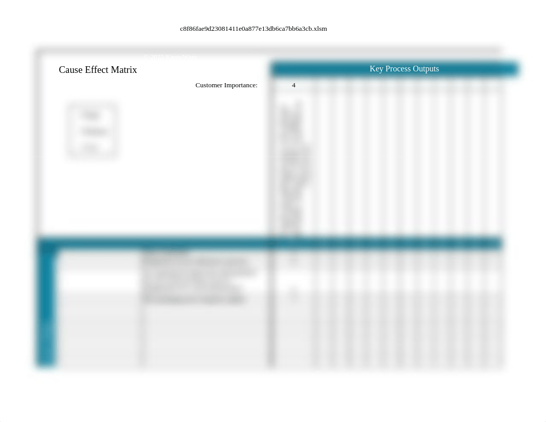 Week 8 - Fishbone and CE Matrix .xlsm_dxvyb0sqvnd_page3